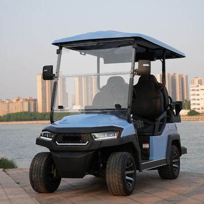 Good price 2 4 6 Seat Electric Lithium Battery Sightseeing Golf Cart Golf Buggy Car with DOT Comfortable and Spacious online