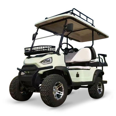 Good price Utility Trucks With 2 Passenger And 48V 5KW AC Motor Journey Golf Cart Standing Postion of Tail Caddie Maximum Speed ≤30Km/h online