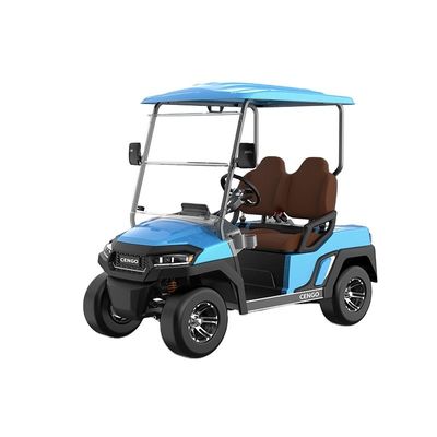 Good price Affordable 2 Seat Electric Golf Buggy Perfect for Family and Hunting on the Beach online