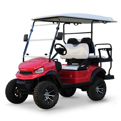 Good price 48V5KW AC Motor Lifted Golf Cart Back to Back 4 Seater with Strong Power and Standing Postion of Tail Caddie Unequipped online