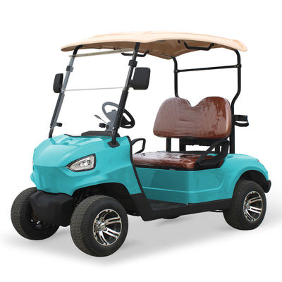 Good price NL-G2020 48V 5KW Golf Cart Car 2 Passenger with Max. Speed 15.5mph 25khp and Tire Size 205/50-10 Tire diameter 18.1in 460mm online