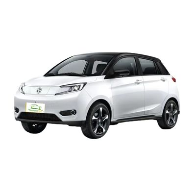 Good price 2023 Model Pure Electric Car YOUNG 302km Range 0.5h Fast Charge 4 Seats Full Load Weight 1080KG Maximum Power 35 100km/h online