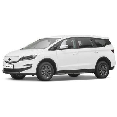 Good price 2023 Luxury 4 Seater Electric Car Lifan Maple Leaf 80v Adult Energy Vehicle 139L Luggage Compartment Volume online