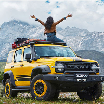 Good price 2023 Max Speed 160km/h Changcheng Great Wall Tank 300 SUV Vehicle Cars 0km Used Cars SUV 2.0T Compact Suv Sedan Sale online
